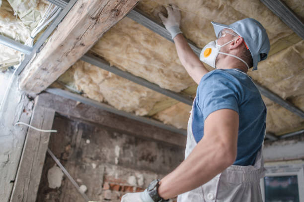 Best Affordable Insulation Services  in New Baltimore, VA
