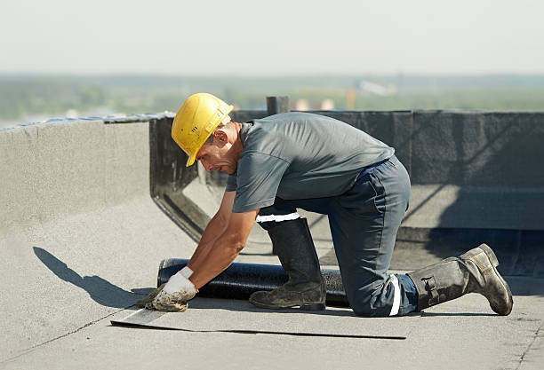 Best Crawl Space Insulation  in New Baltimore, VA