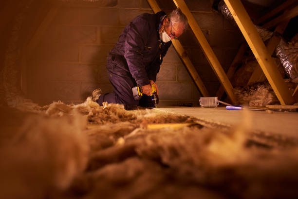 Professional Insulation Contractor in New Baltimore, VA